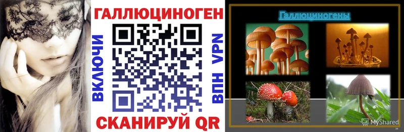 Галлюциногенные грибы Cubensis Горнозаводск