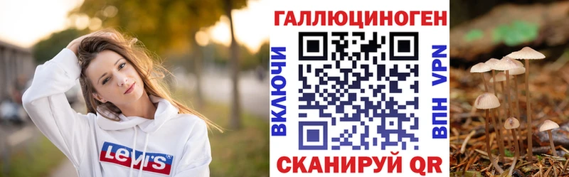 Псилоцибиновые грибы Psilocybe  где купить   Горнозаводск 