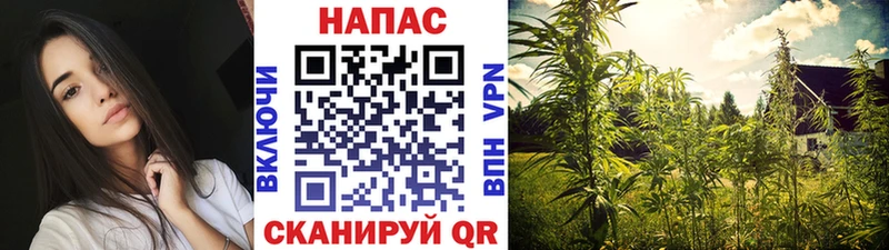 KRAKEN ONION купить наркоту Горнозаводск Марихуана SATIVA & INDICA